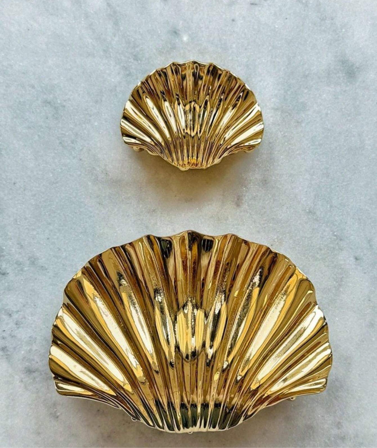 Seashell Clip